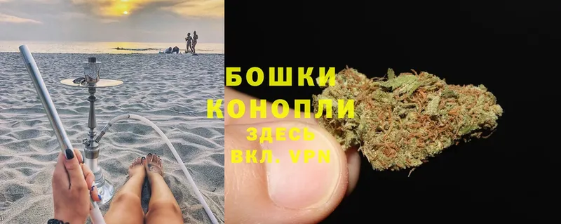 хочу наркоту  Подольск  Бошки марихуана Ganja 